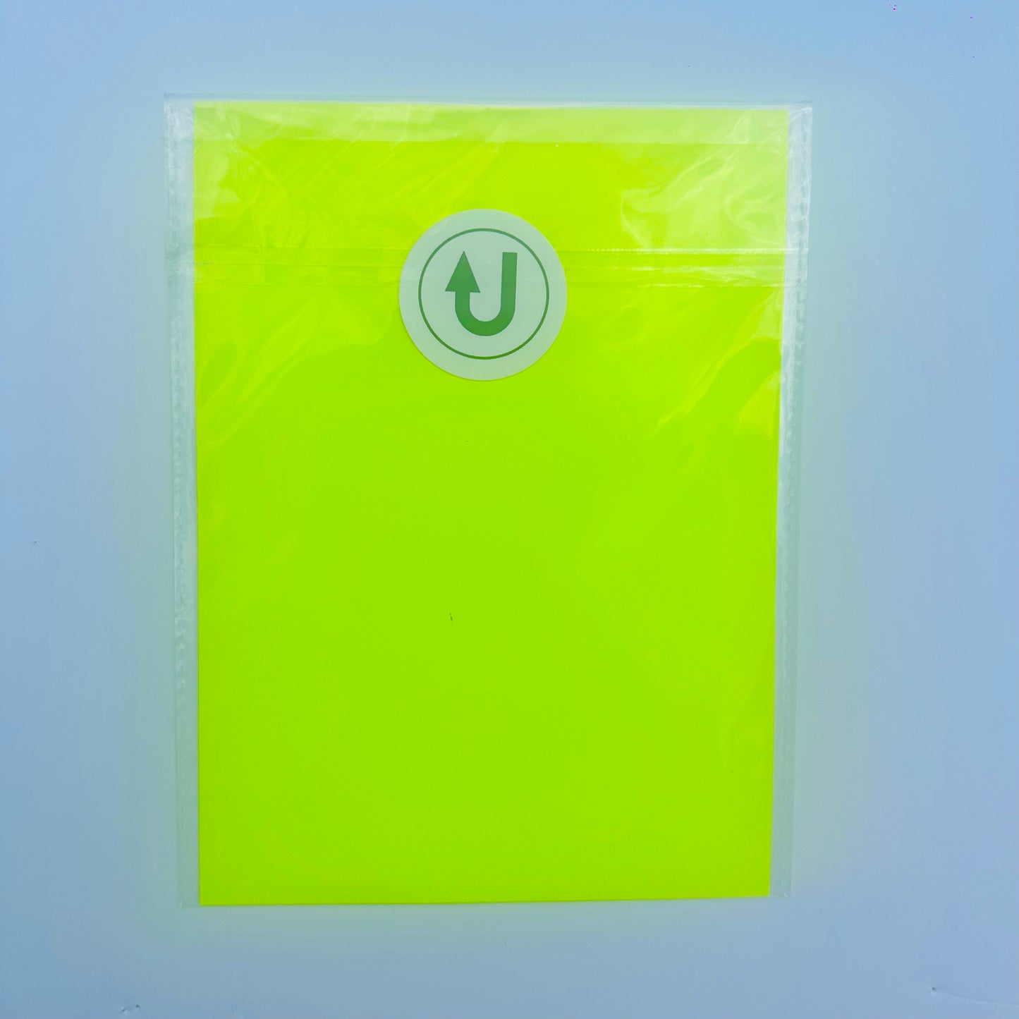 Recycled Neon Initial Typography Print