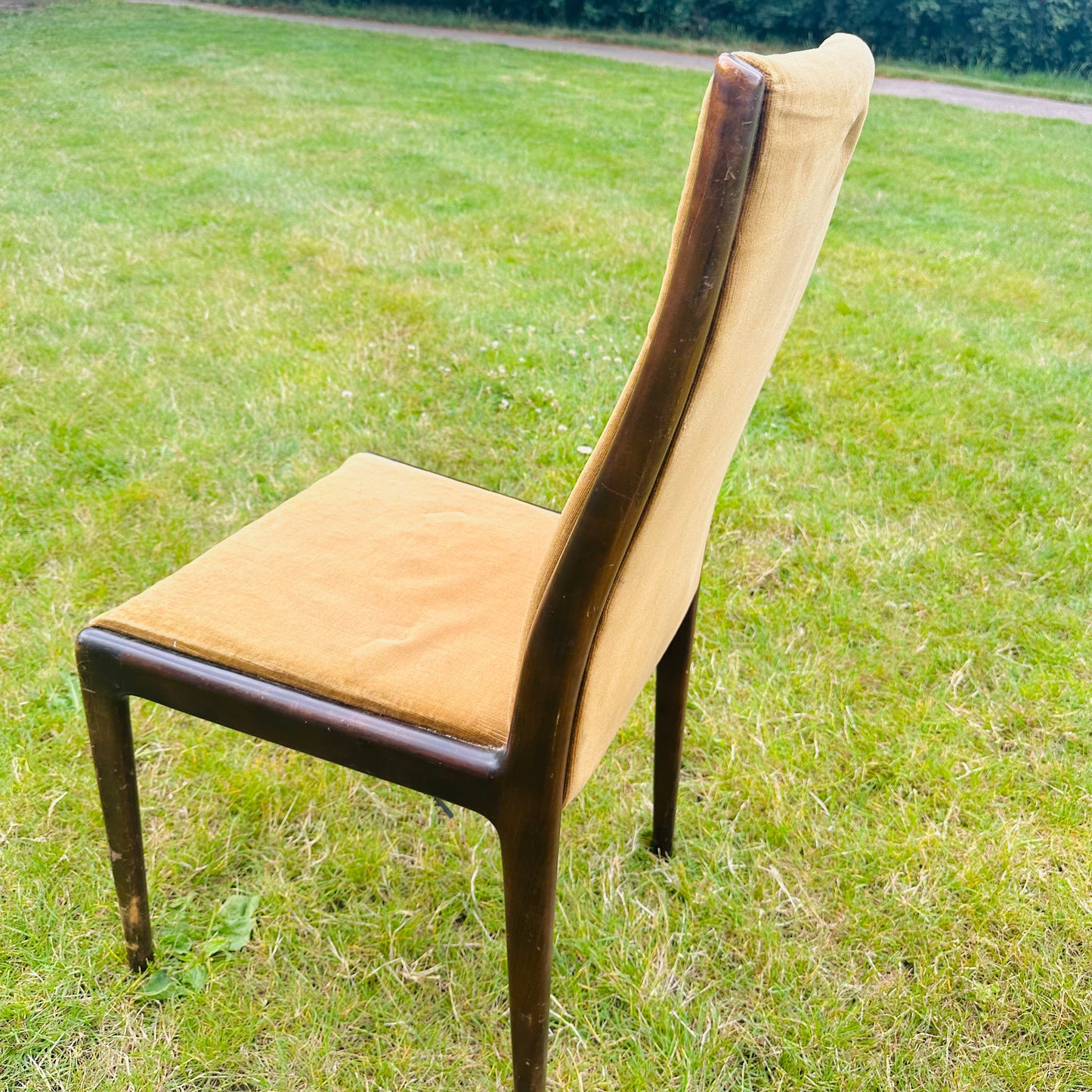 Mid Century Danish Dining Chair in Rust Cord Velvet