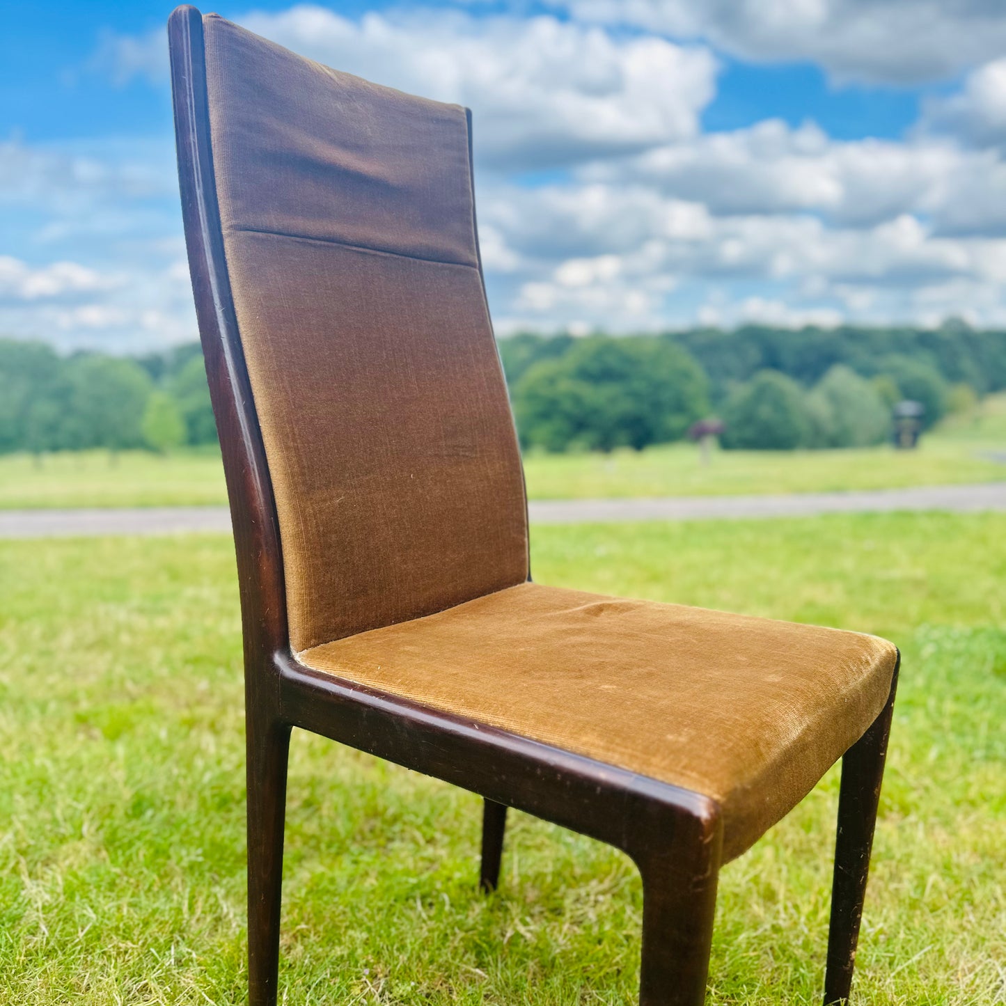 Mid Century Danish Dining Chair in Rust Cord Velvet