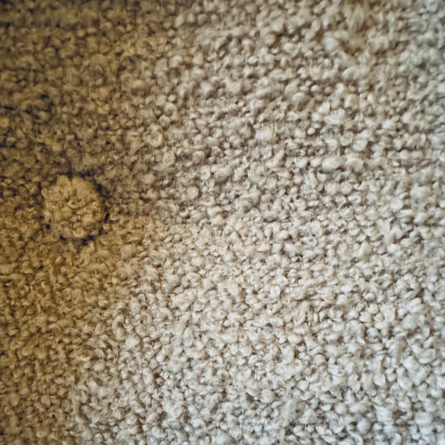 Taupe Boucle Wool Scallop Sustainable Headboard - Single