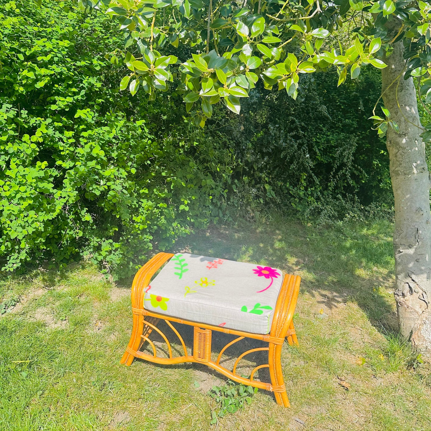 Upholstered Bamboo Sustainable Seat Linen/Cotton fabric in 'Grow Your Own Way' hand-illustrated print