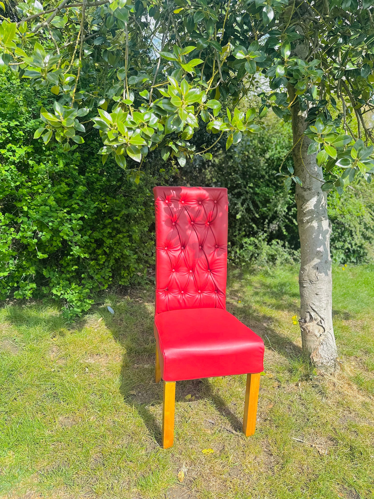 Set of 4 Upholstered Chesterfield-style dining chairs in Deep Red Leather