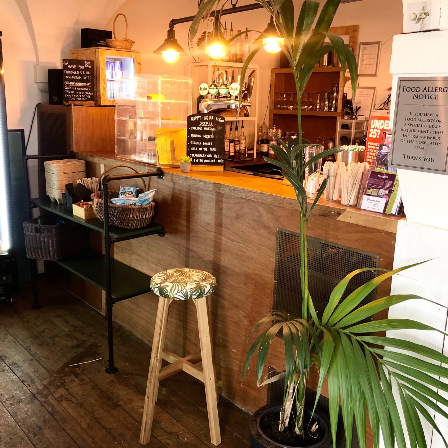 Upcycled Palm Bar Stool