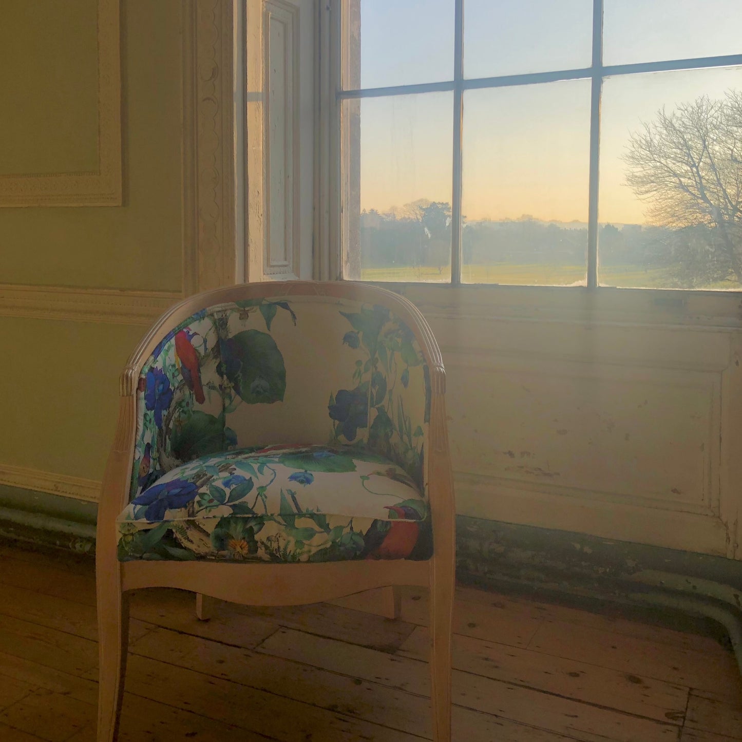 Enchanted Statement Chairs
