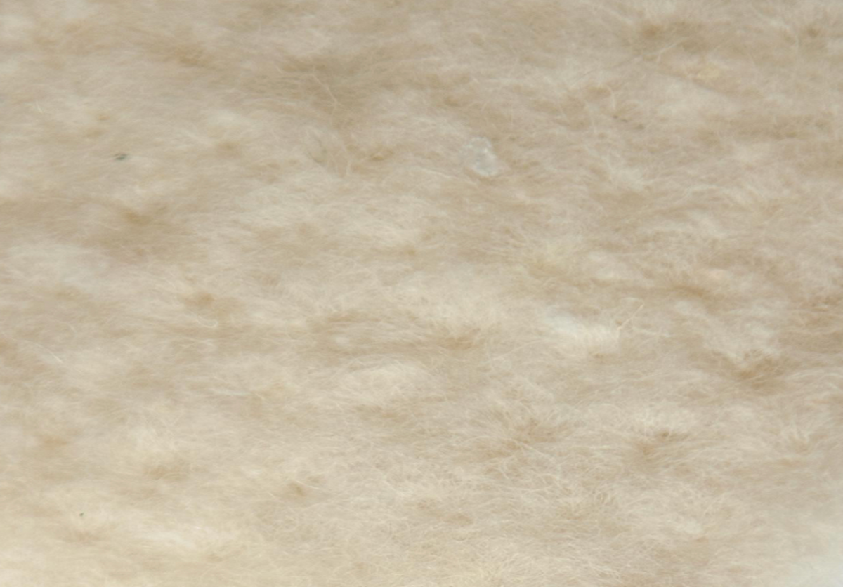 A close-up texture shot of a soft, fluffy off-white or cream-colored wool 