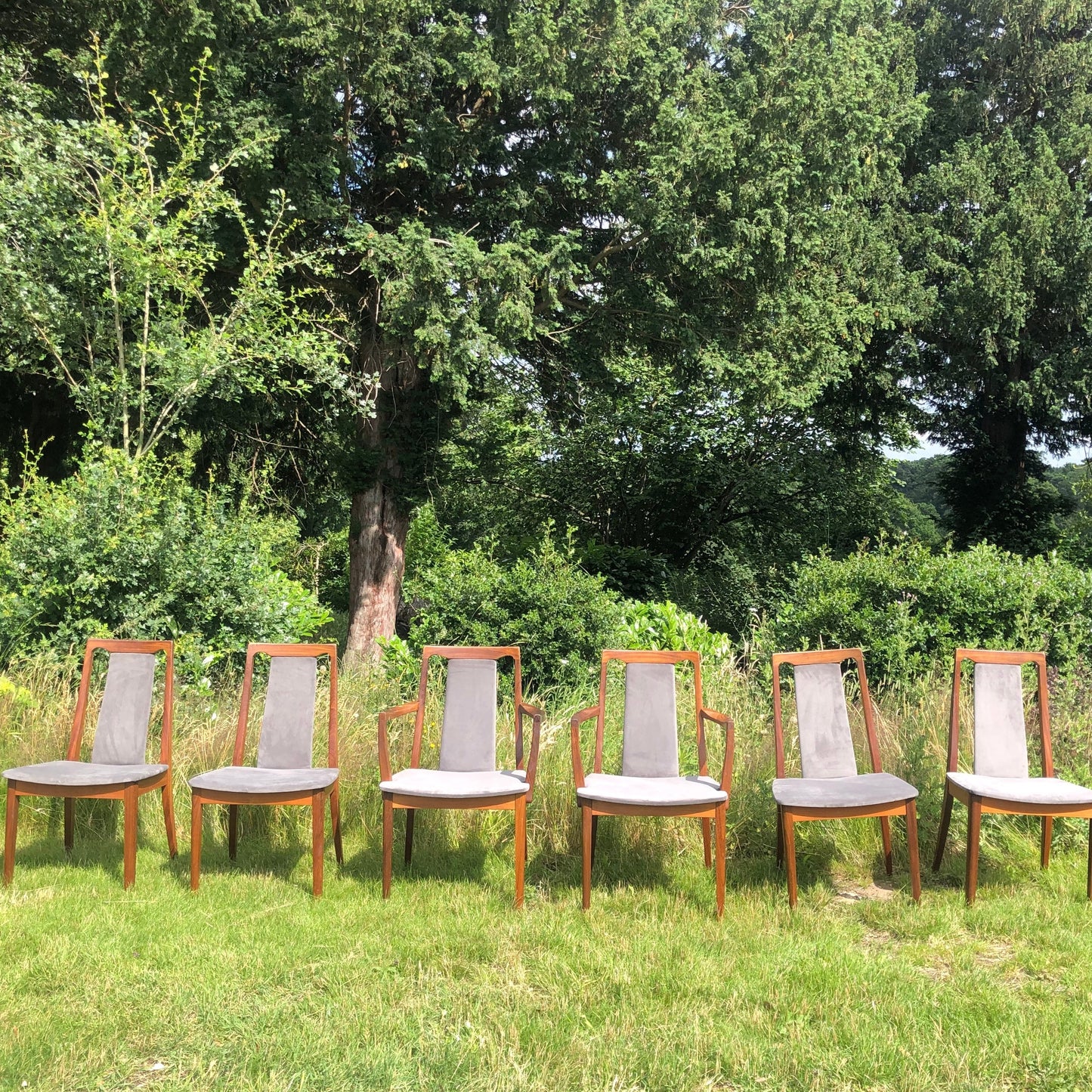 G-Plan Dining Chairs