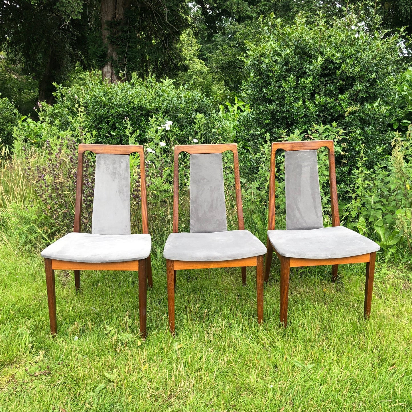 G-Plan Dining Chairs